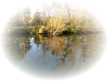 Rivière La Boutonne - Charente-Marotime