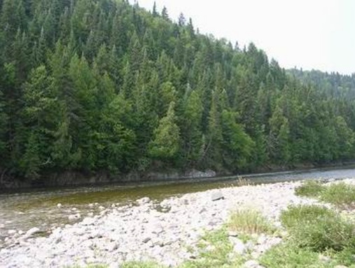 Rivire Matane au QuÃ©bec